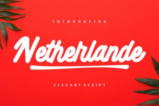 Netherlande: An Elegant Script Font with Playful Character