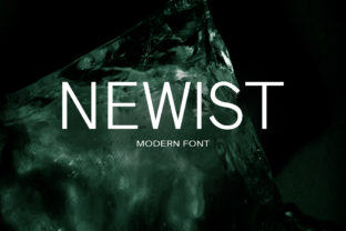 Newist: A Playful Yet Professional Sans Serif for Modern Design