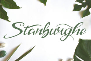 Stanburghe: The Friendly Script Font Redefining Modern Craft and Brand Expression